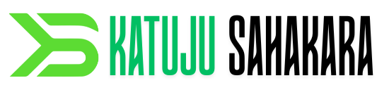 DMS Management System